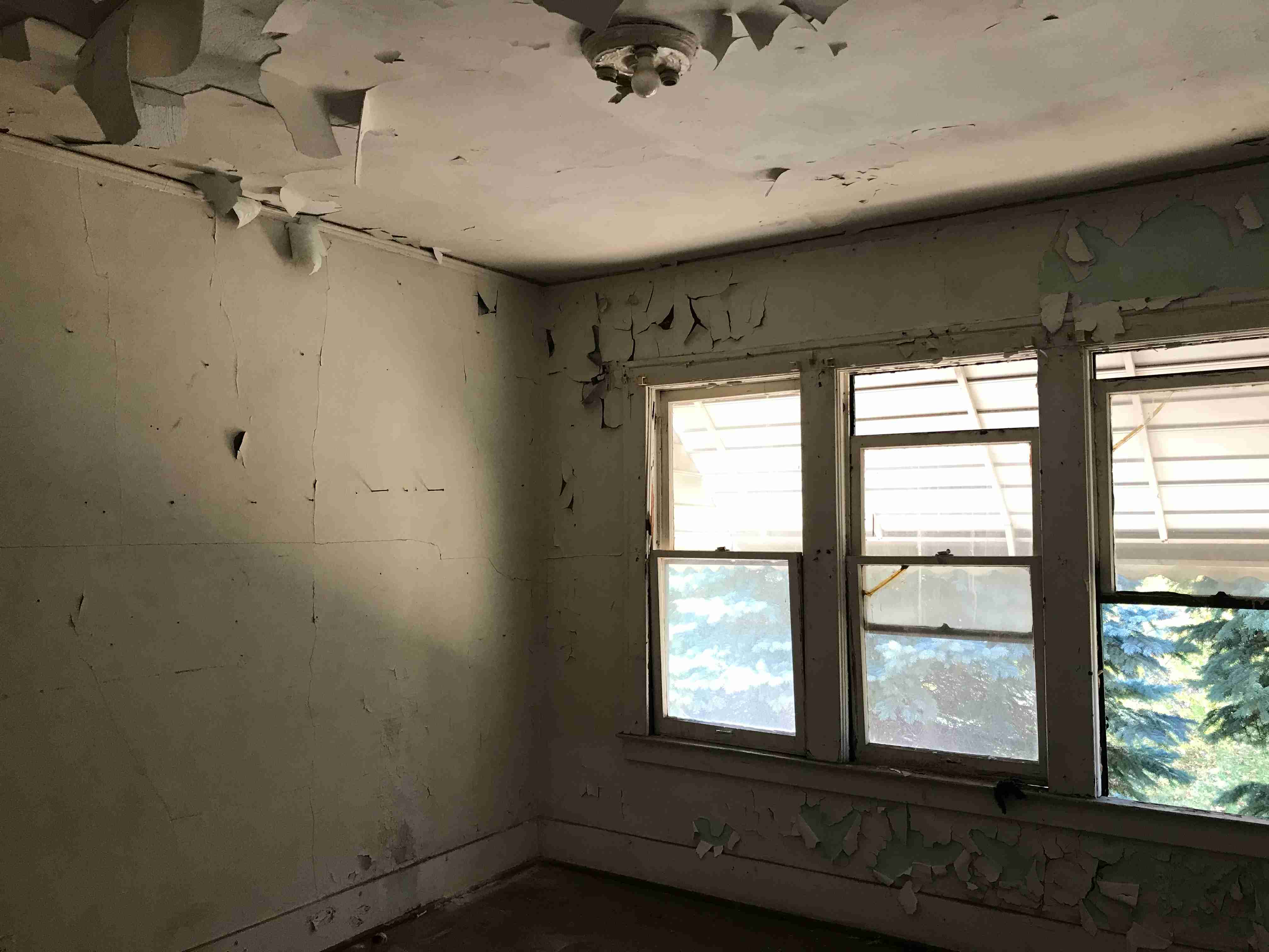 Photo Oct 13, 12 33 46 PM.jpg